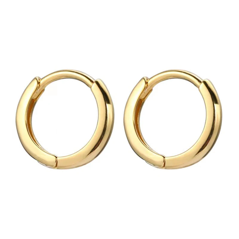 2PCS Stainless Steel Hoop Earrings Crystal Zirconia Small Huggie Thin Cartilage Earring Helix Tragus Piercing